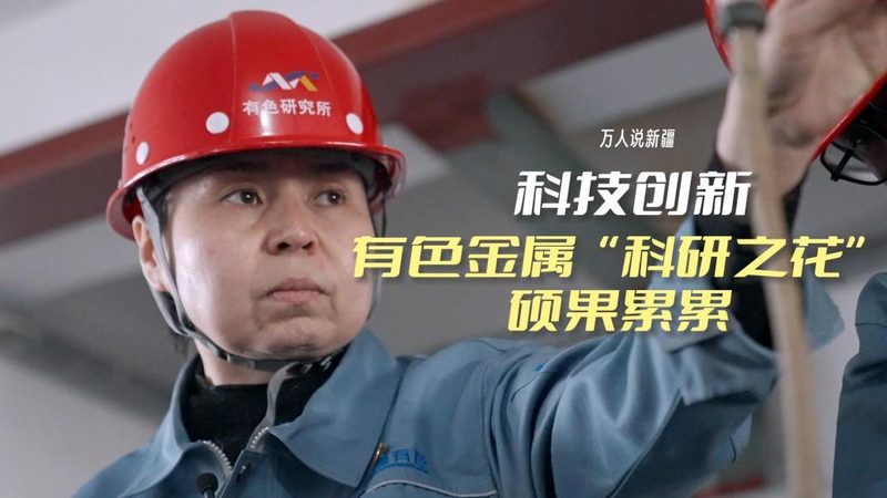 企业数字化解决方案：性价比背后的关键考量